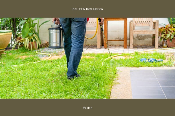 PEST CONTROL Maxton